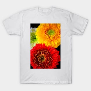 Three Colorful Daisies T-Shirt